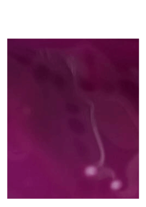 ESMALTE SEMIPERMANENTE DARONA 15 ml.